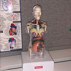 Supreme anatomy kit